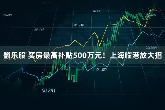 翻乐股 买房最高补贴500万元！上海临港放大招