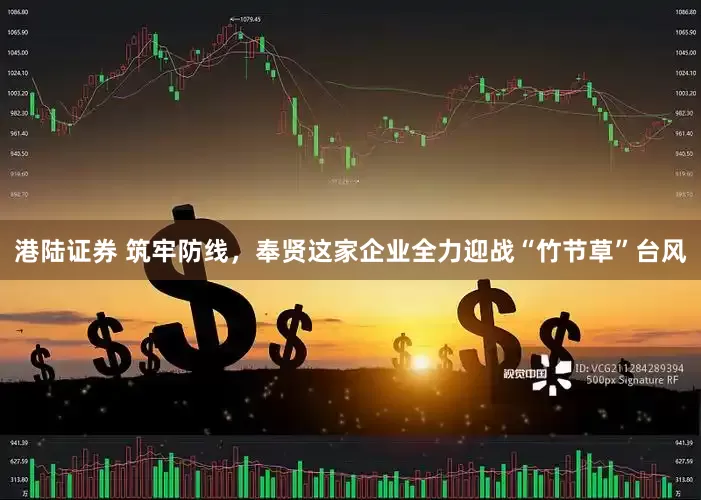 港陆证券 筑牢防线，奉贤这家企业全力迎战“竹节草”台风