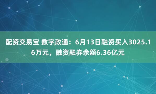 配资交易宝 数字政通：6月13日融资买入3025.16万元，融资融券余额6.36亿元